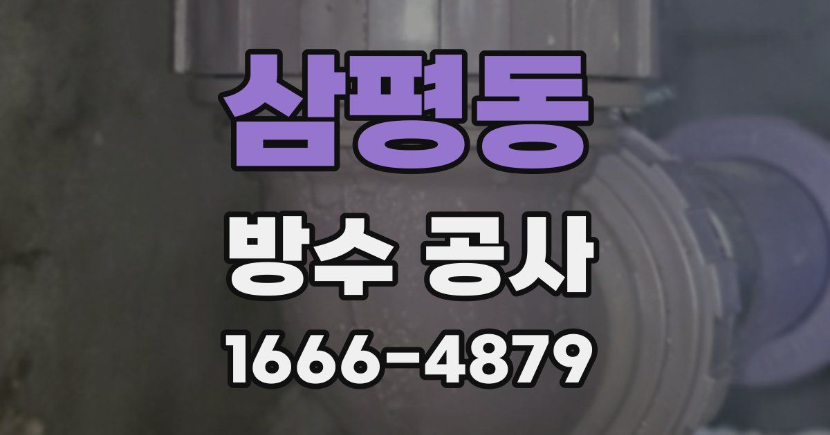 삼평동 방수 공사