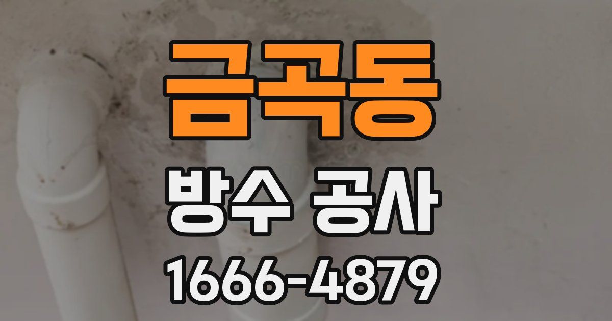 금곡동 방수 공사