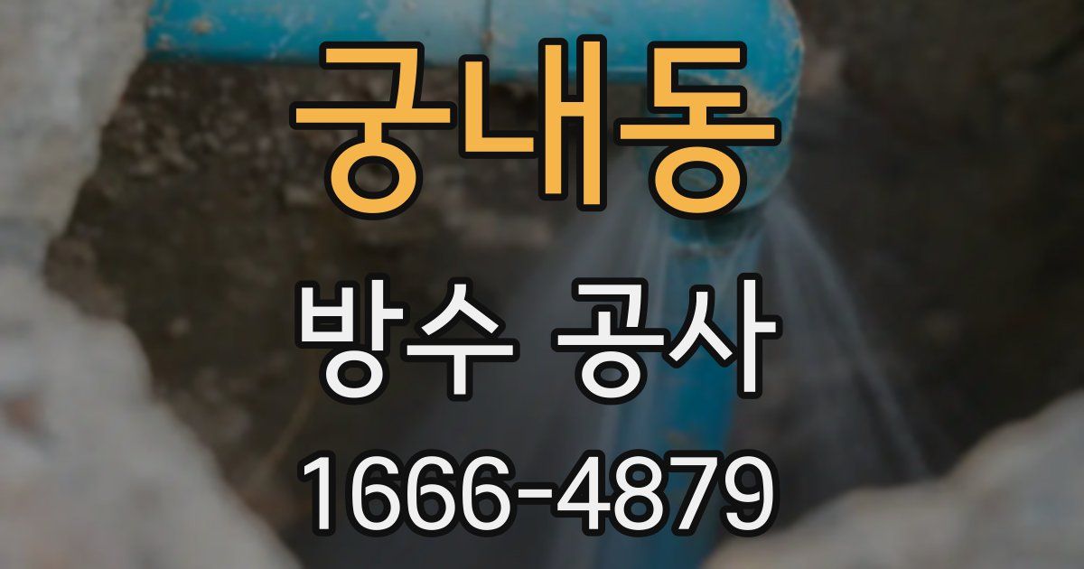궁내동 방수 공사