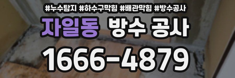 자일동 방수 공사