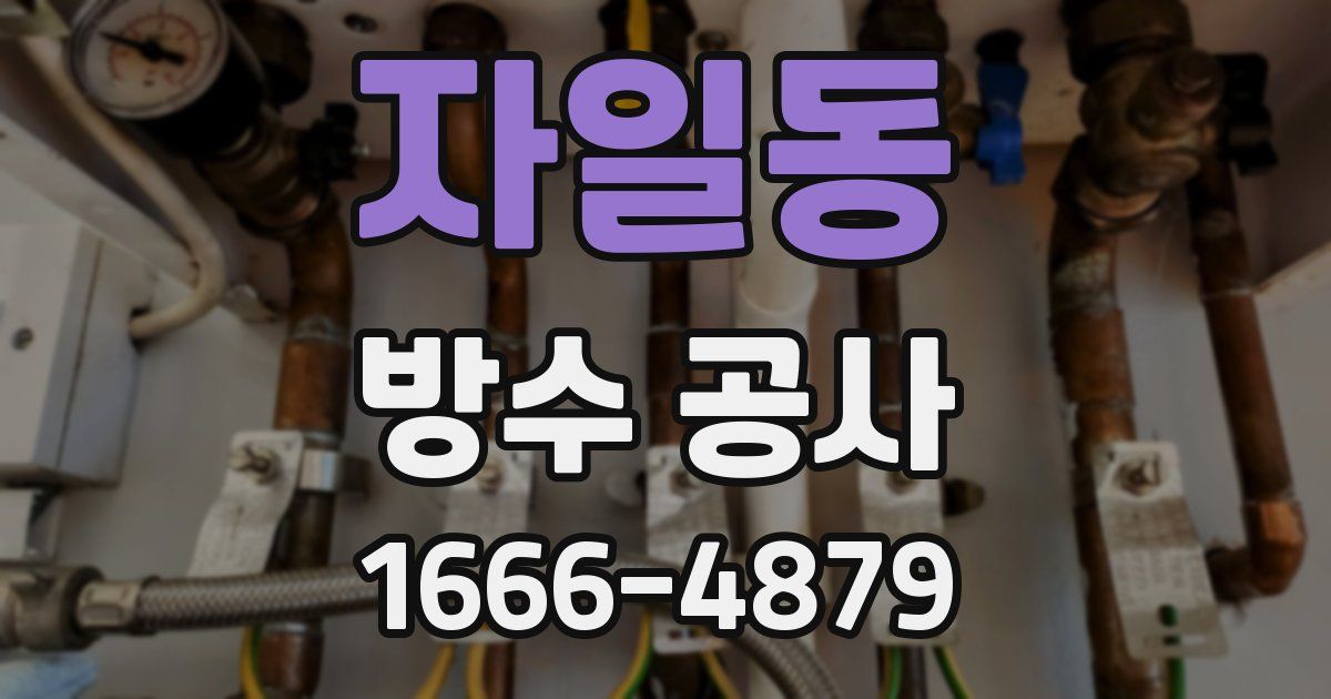 자일동 방수 공사