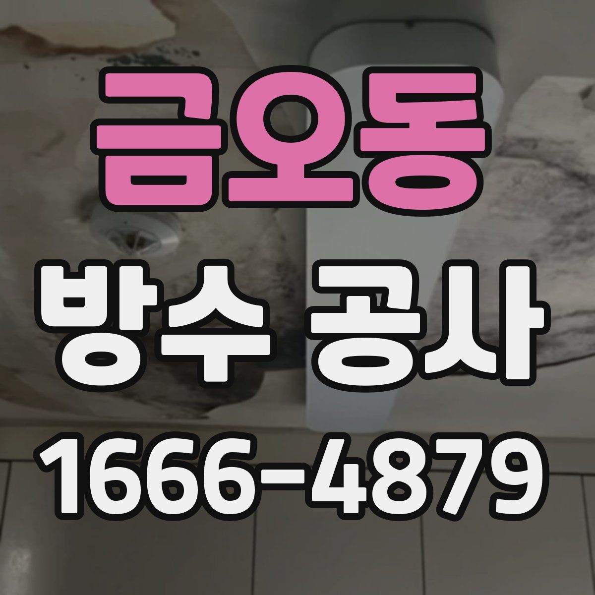 금오동 방수 공사