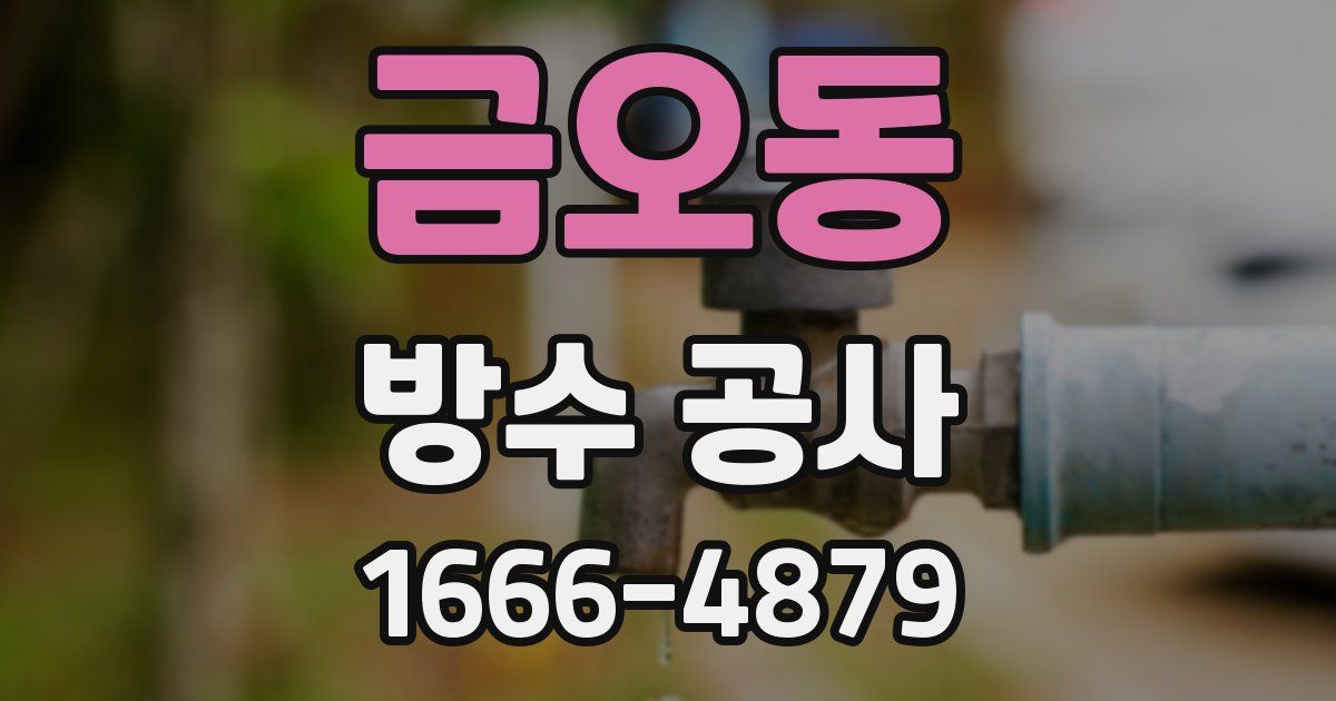금오동 방수 공사