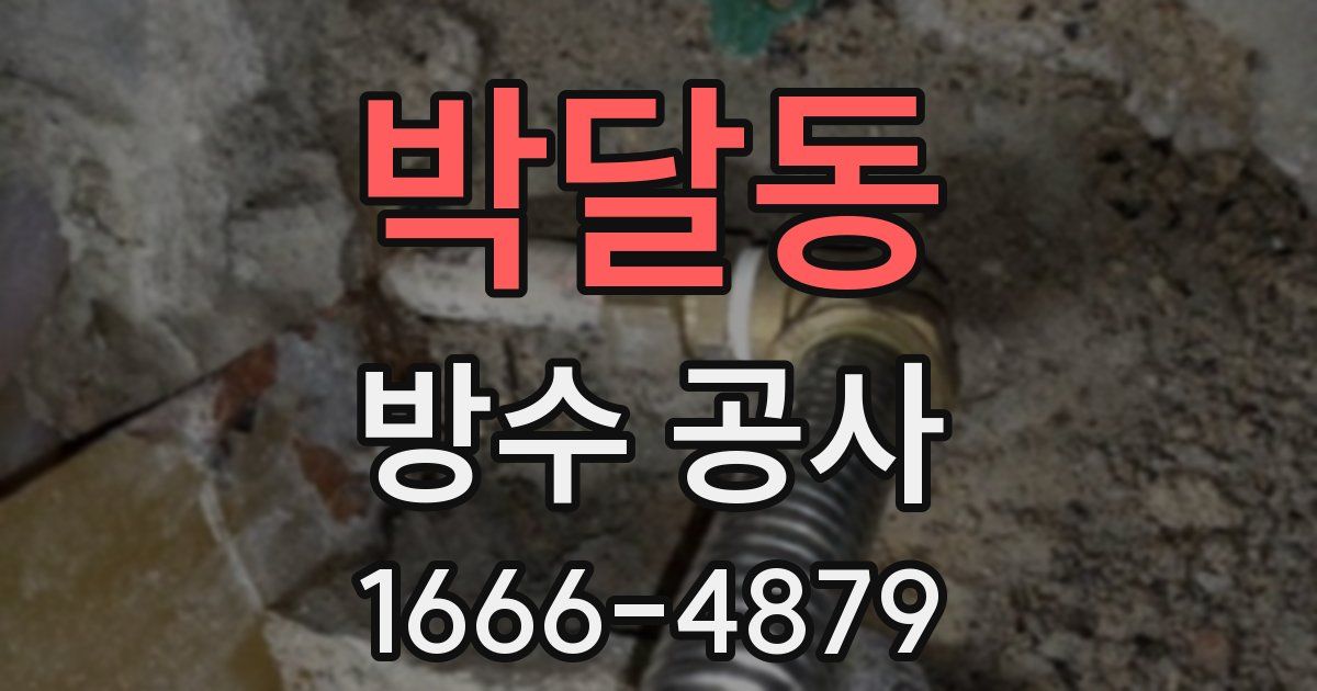 박달동 방수 공사