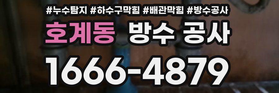 호계동 방수 공사