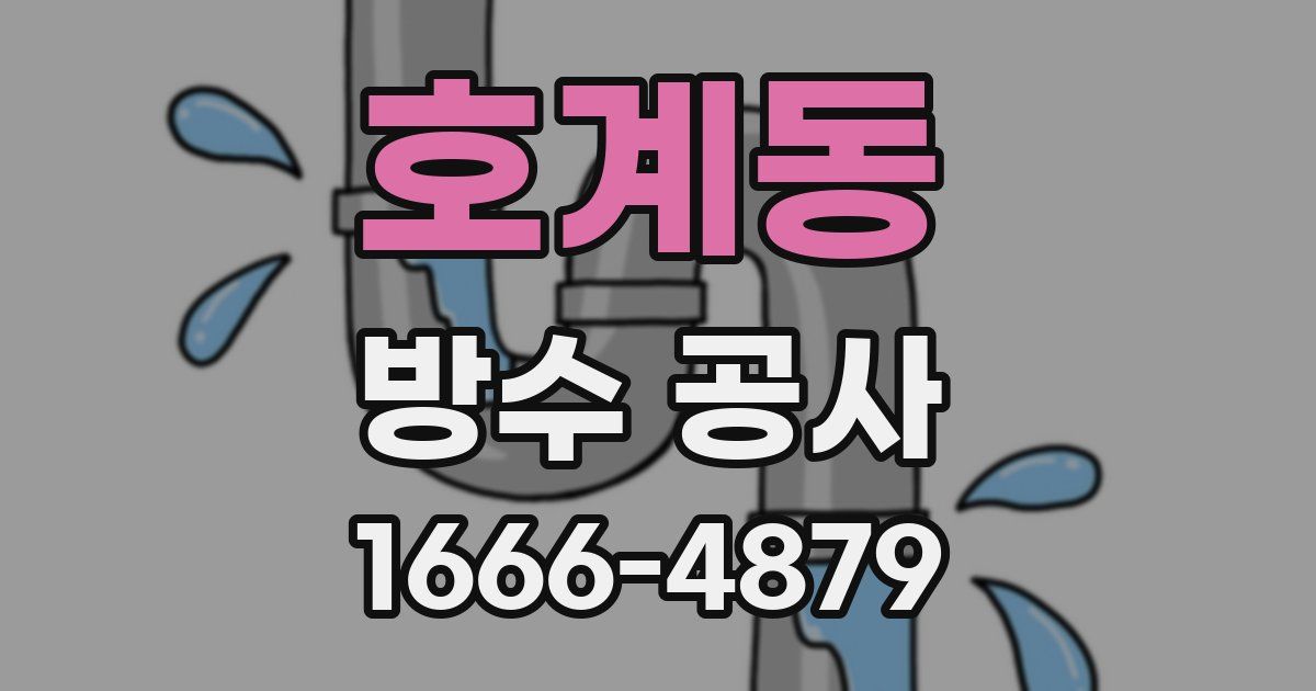 호계동 방수 공사
