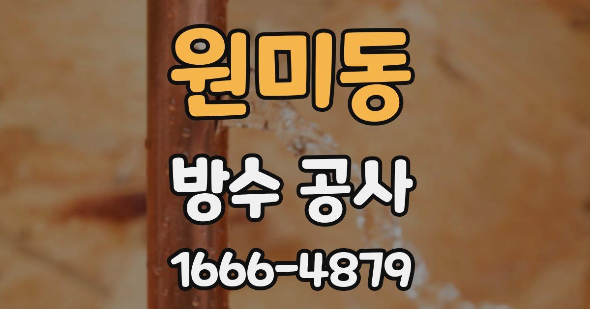 원미동 방수 공사