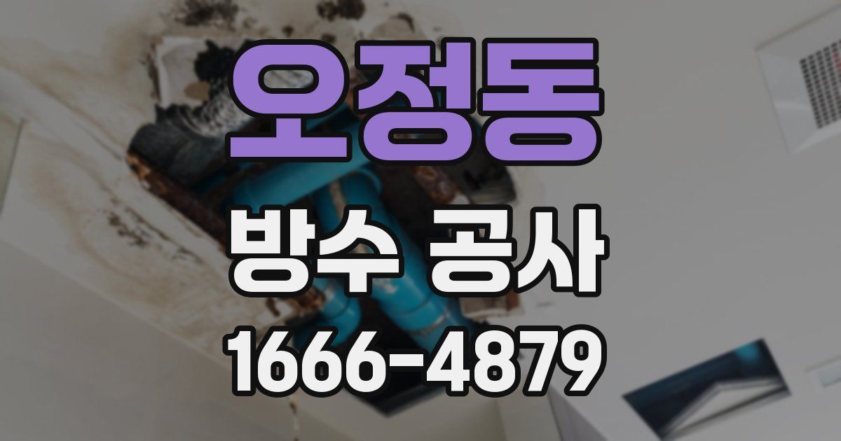 오정동 방수 공사