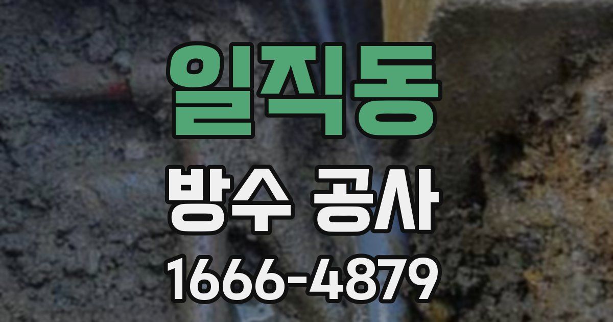 일직동 방수 공사