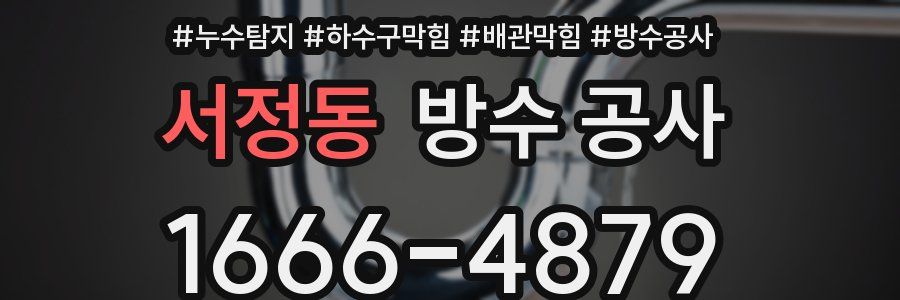 서정동 방수 공사