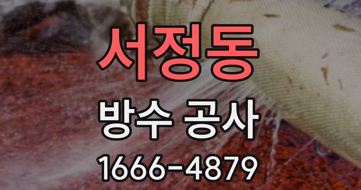 서정동 방수 공사