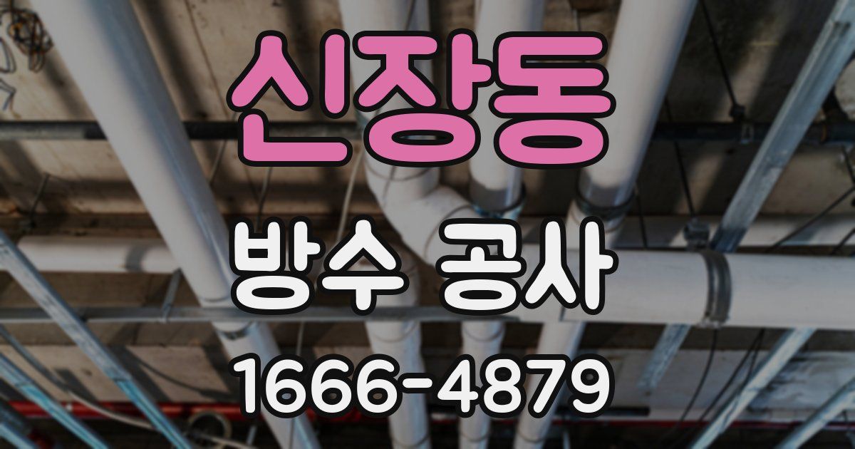 신장동 방수 공사