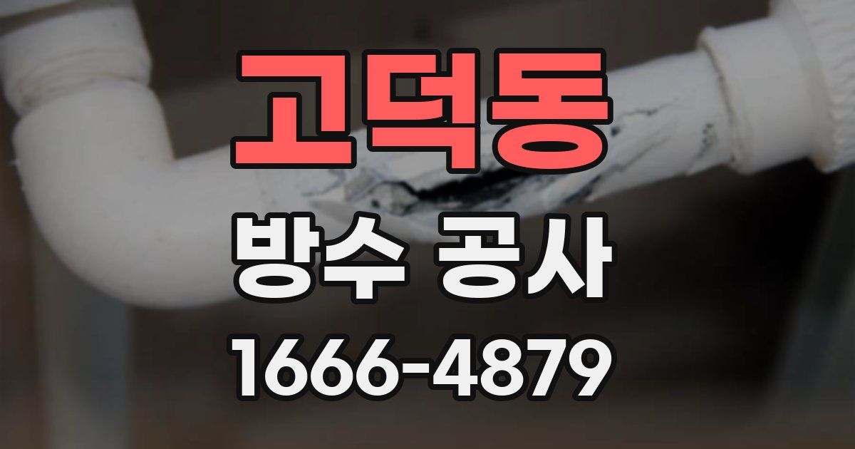 고덕동 방수 공사