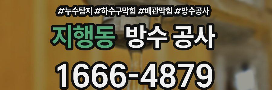 지행동 방수 공사