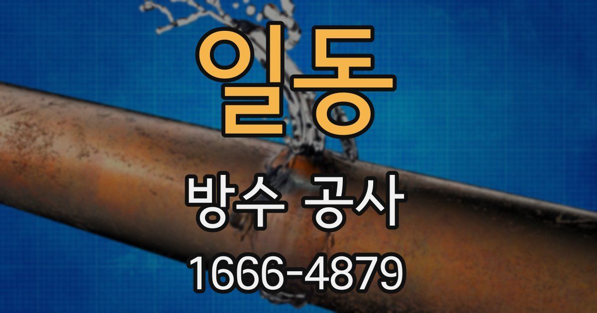 일동 방수 공사