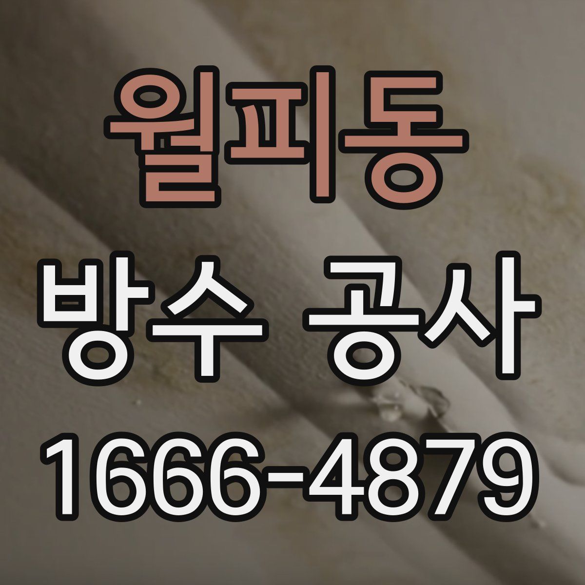 월피동 방수 공사