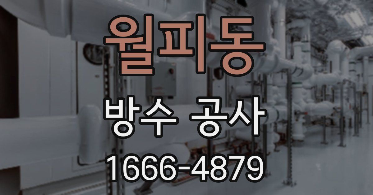 월피동 방수 공사