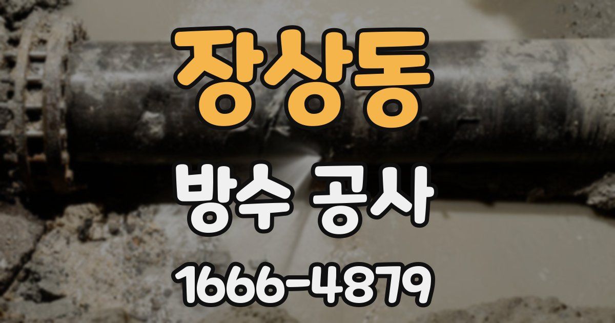 장상동 방수 공사