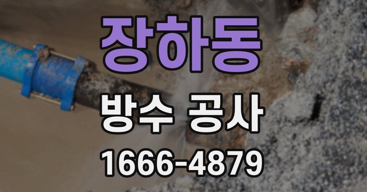 장하동 방수 공사