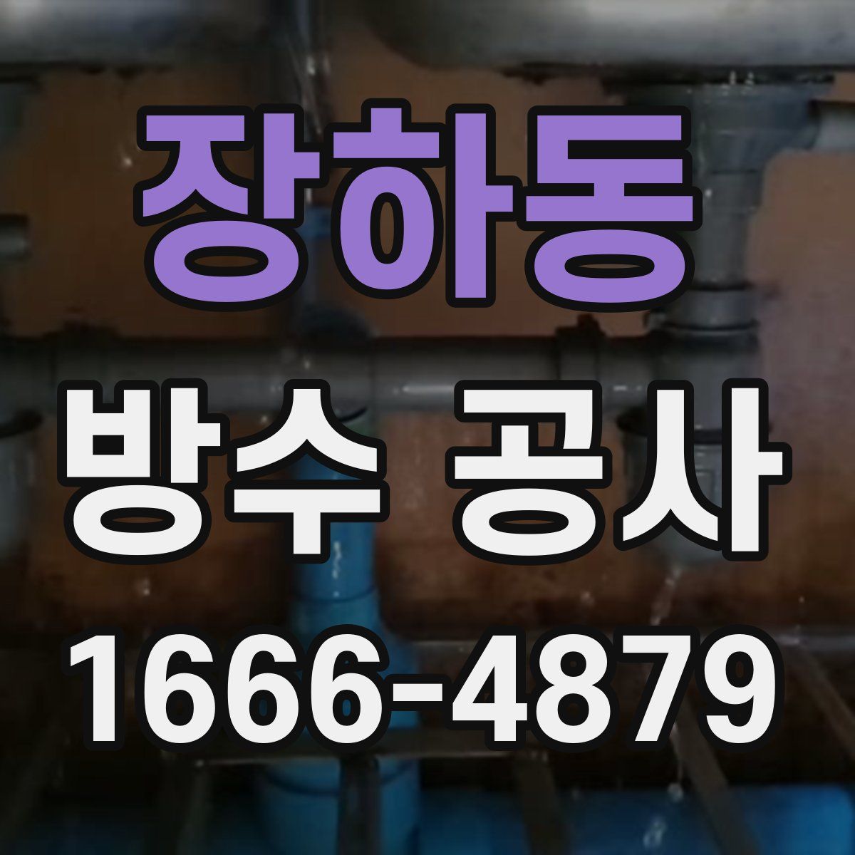 장하동 방수 공사