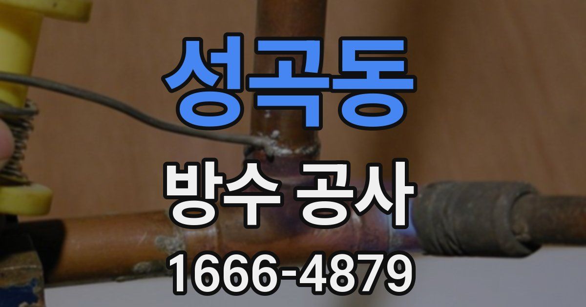 성곡동 방수 공사