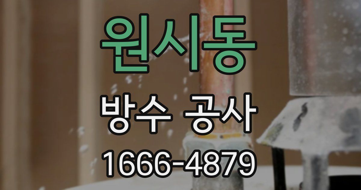 원시동 방수 공사
