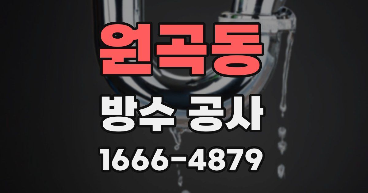 원곡동 방수 공사