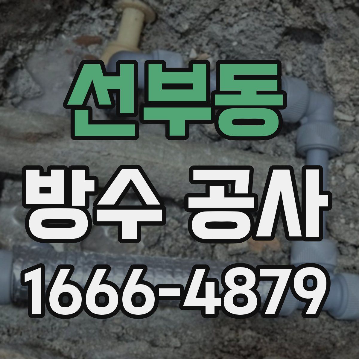 선부동 방수 공사