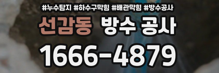 선감동 방수 공사