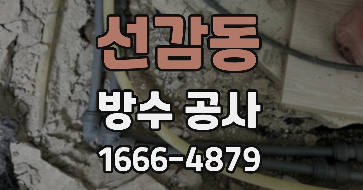 선감동 방수 공사