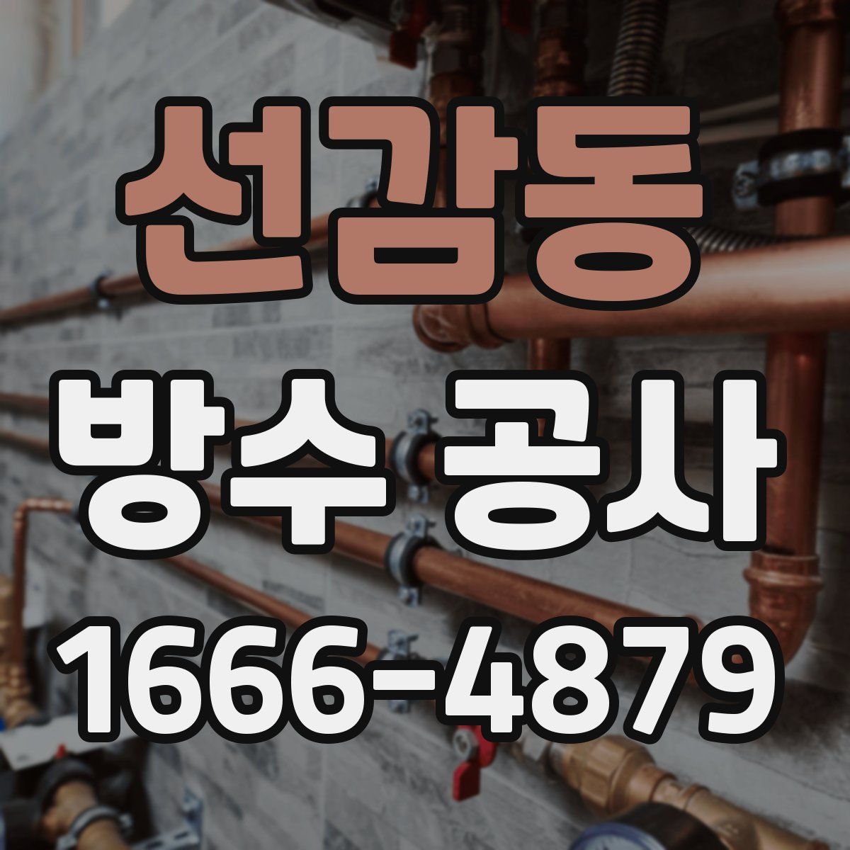 선감동 방수 공사