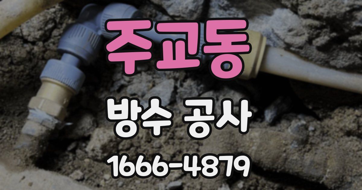 주교동 방수 공사