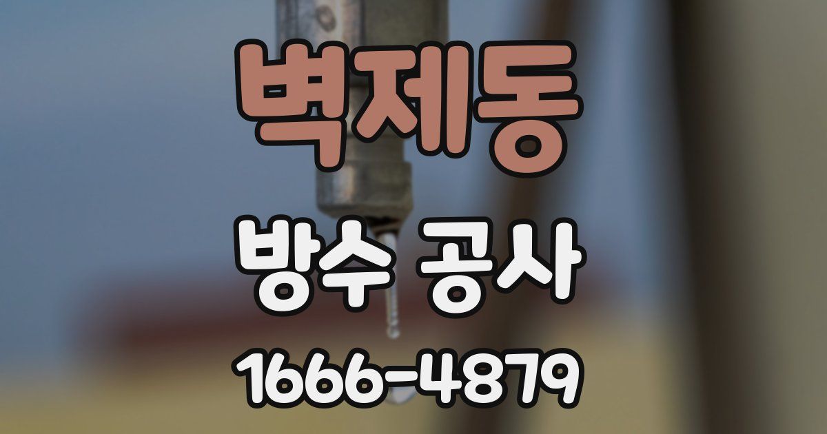 벽제동 방수 공사
