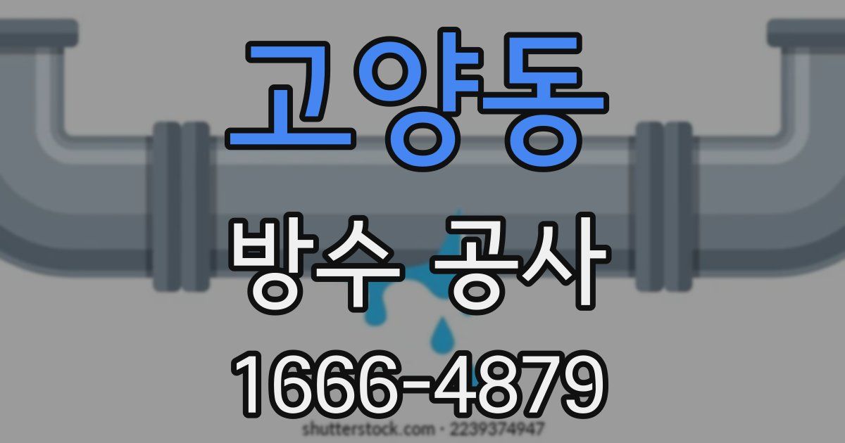 고양동 방수 공사