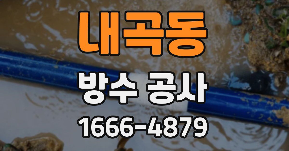 내곡동 방수 공사