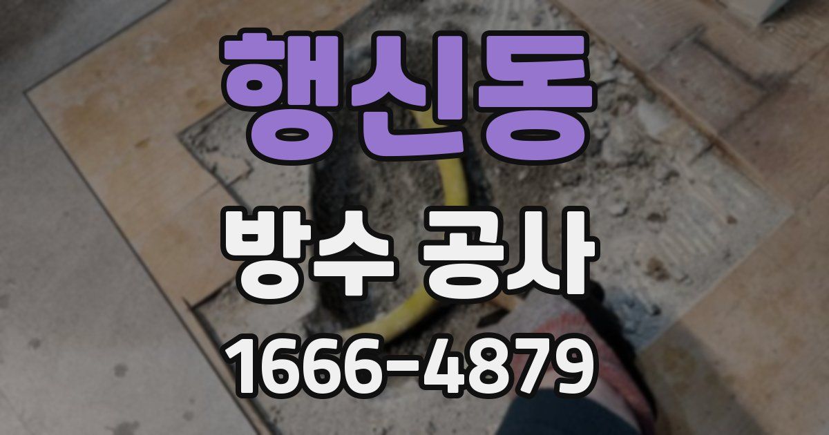 행신동 방수 공사