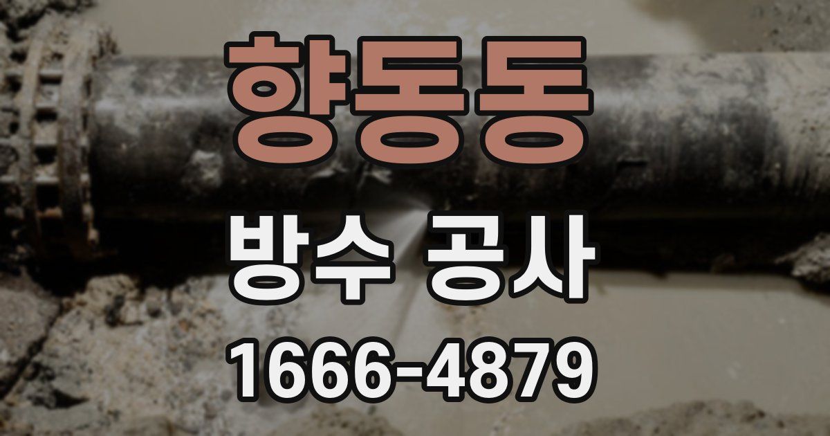 향동동 방수 공사