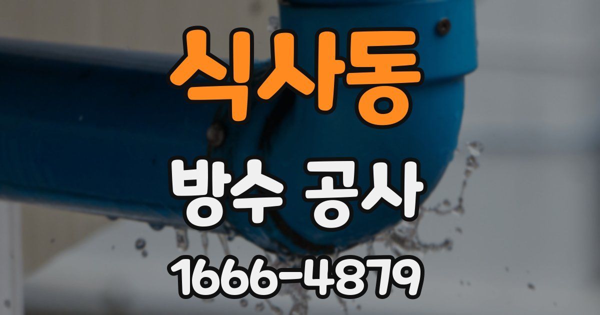 식사동 방수 공사