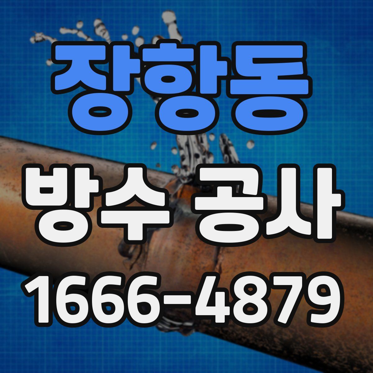 장항동 방수 공사