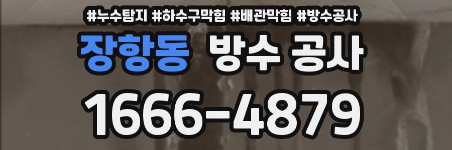 장항동 방수 공사