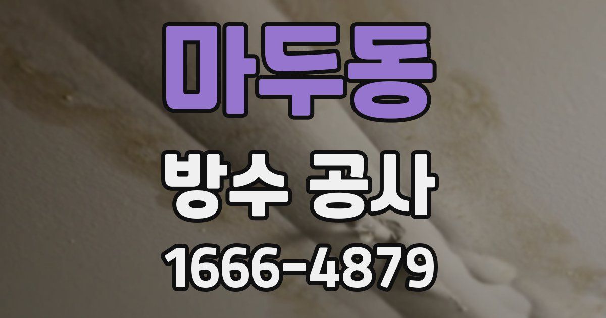 마두동 방수 공사