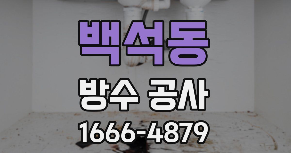 백석동 방수 공사