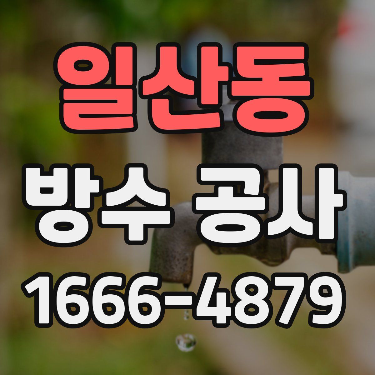 일산동 방수 공사