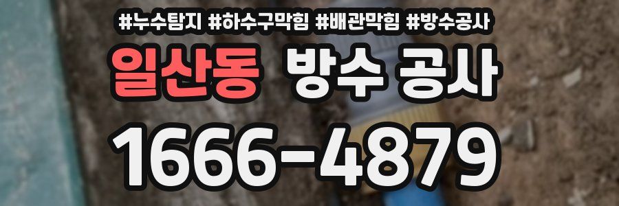 일산동 방수 공사