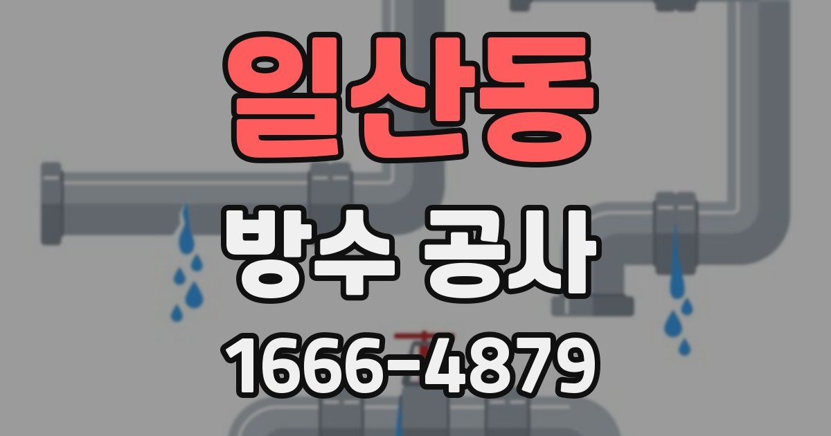 일산동 방수 공사