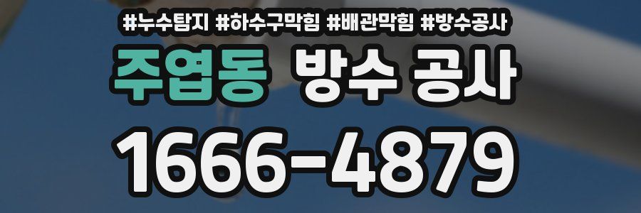 주엽동 방수 공사