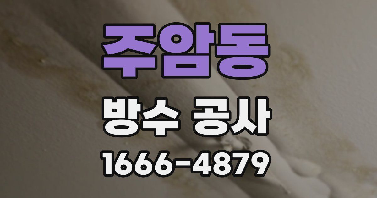 주암동 방수 공사