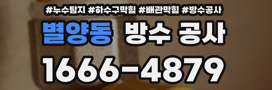 별양동 방수 공사
