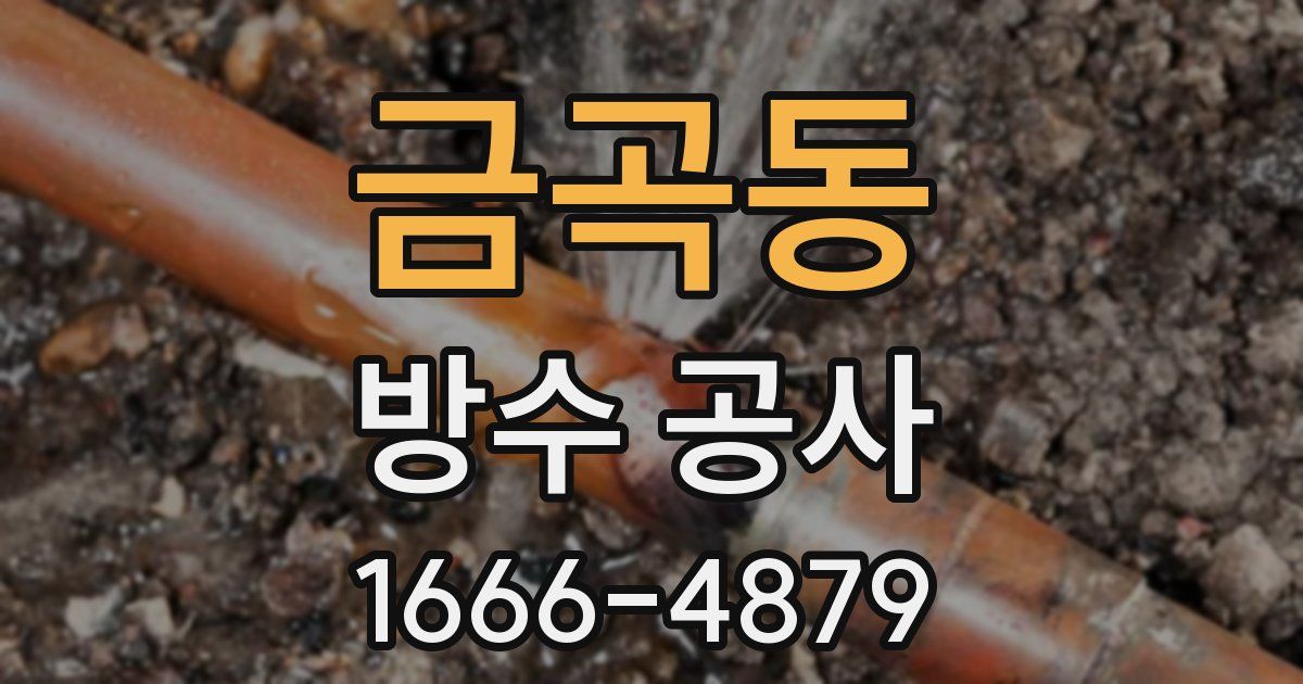 금곡동 방수 공사