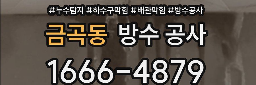 금곡동 방수 공사